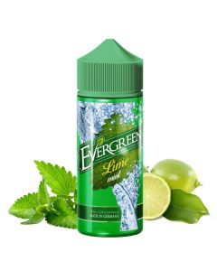 Evergreen - Lime Mint Aroma