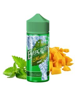 Evergreen - Mango Mint Aroma